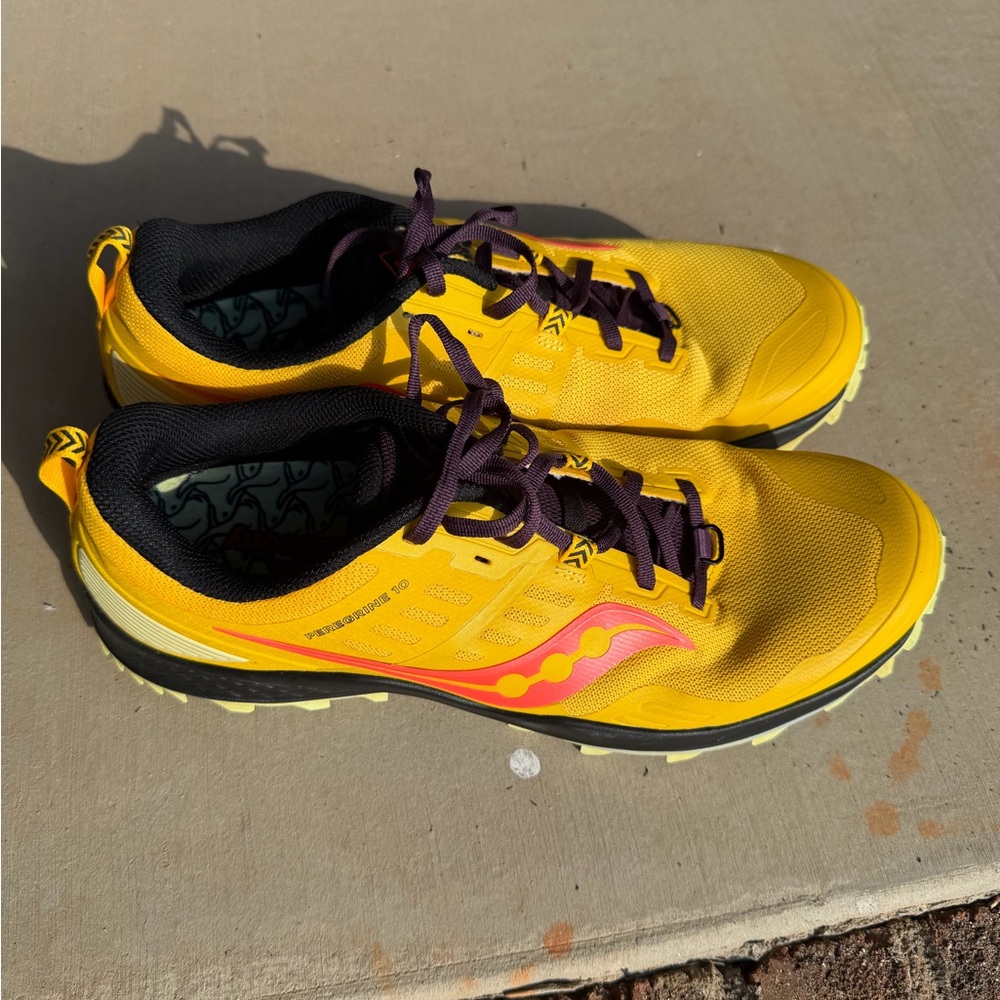 Saucony Peregrine 10 trail shoe- Jackalope version, men’s size 12